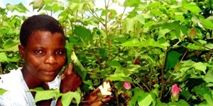 Peace Corps Chinyanja Health Vocabulary - Image